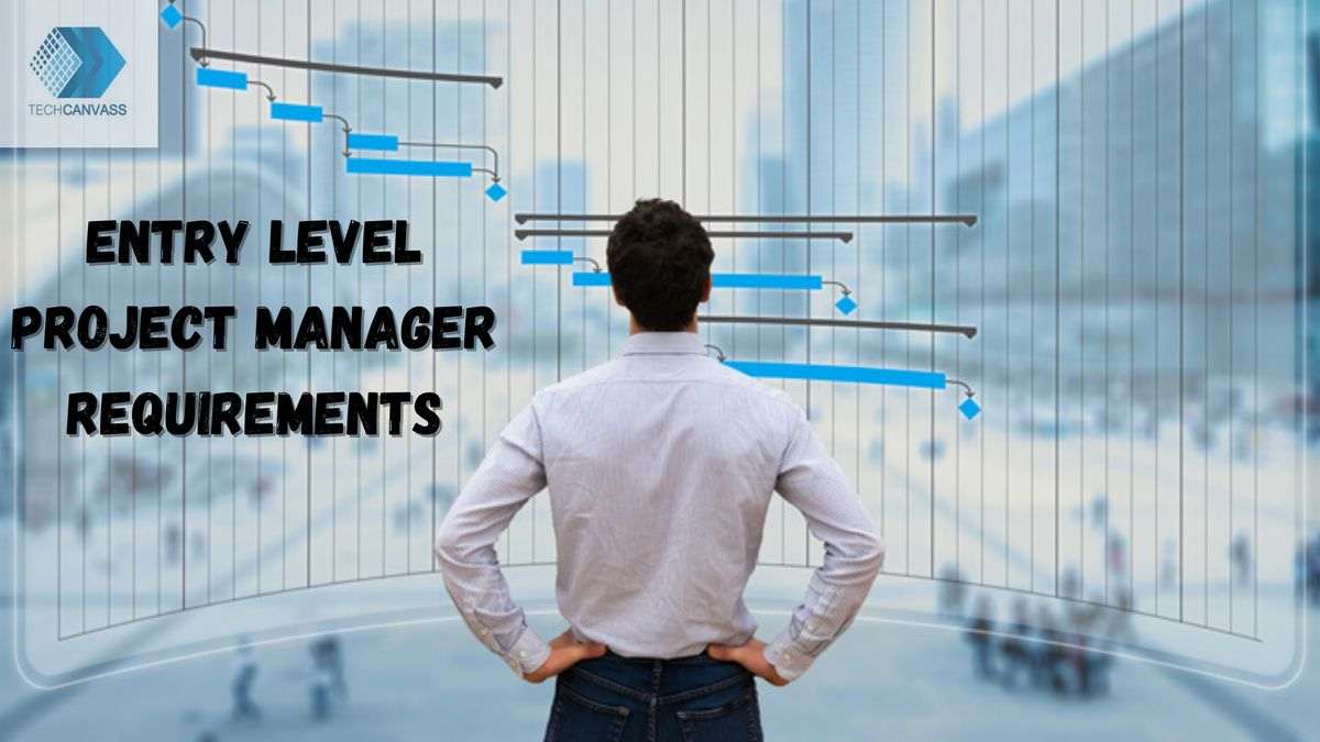Entry Level Project Manager Requirements-image