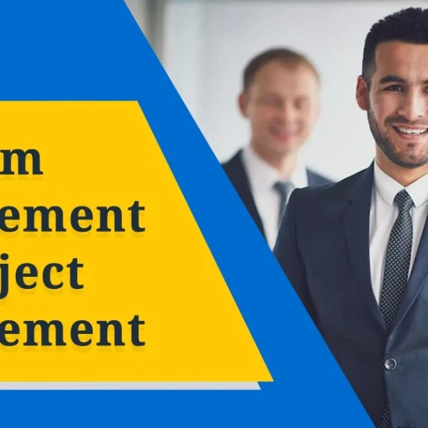 Project Management vs Program Management