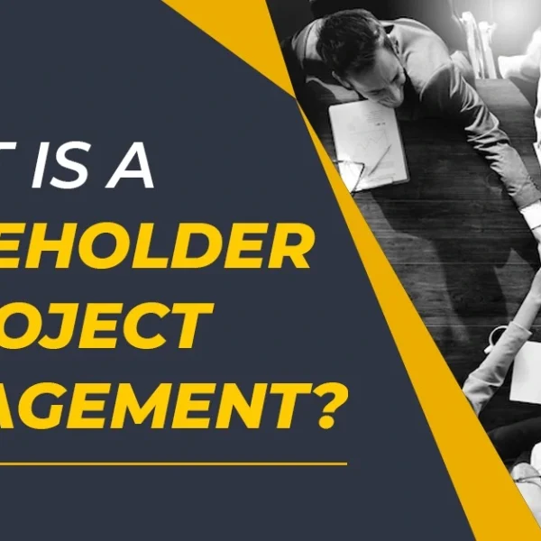 Stakeholder in project management